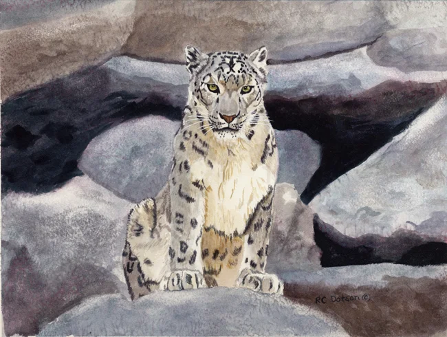 On the Rocks.jpg