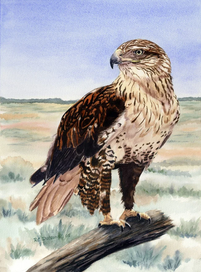 PrairieHunter.jpg