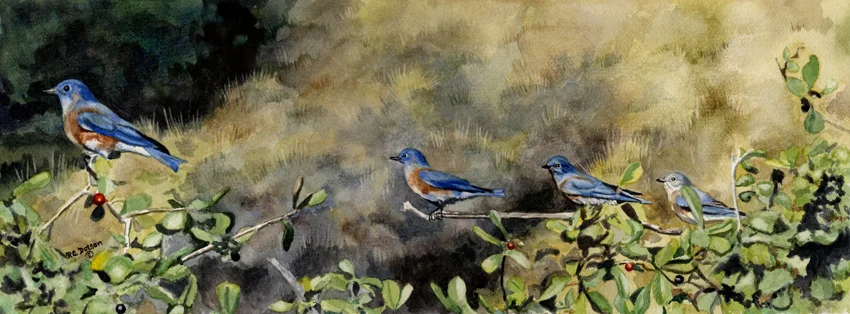 PrettyBirdsFull.jpg