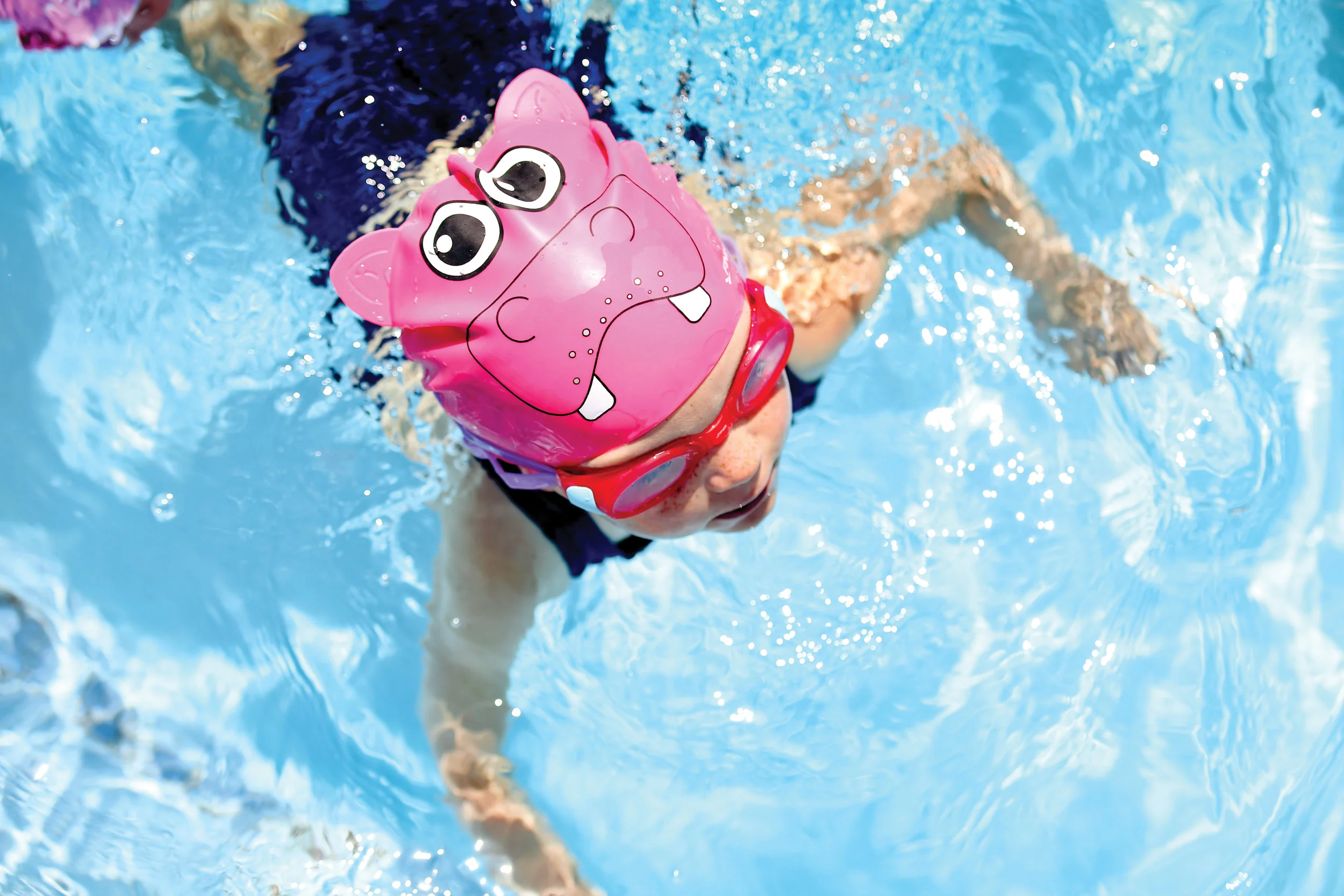3.25.036 Image Usage Hippo 1.jpg
