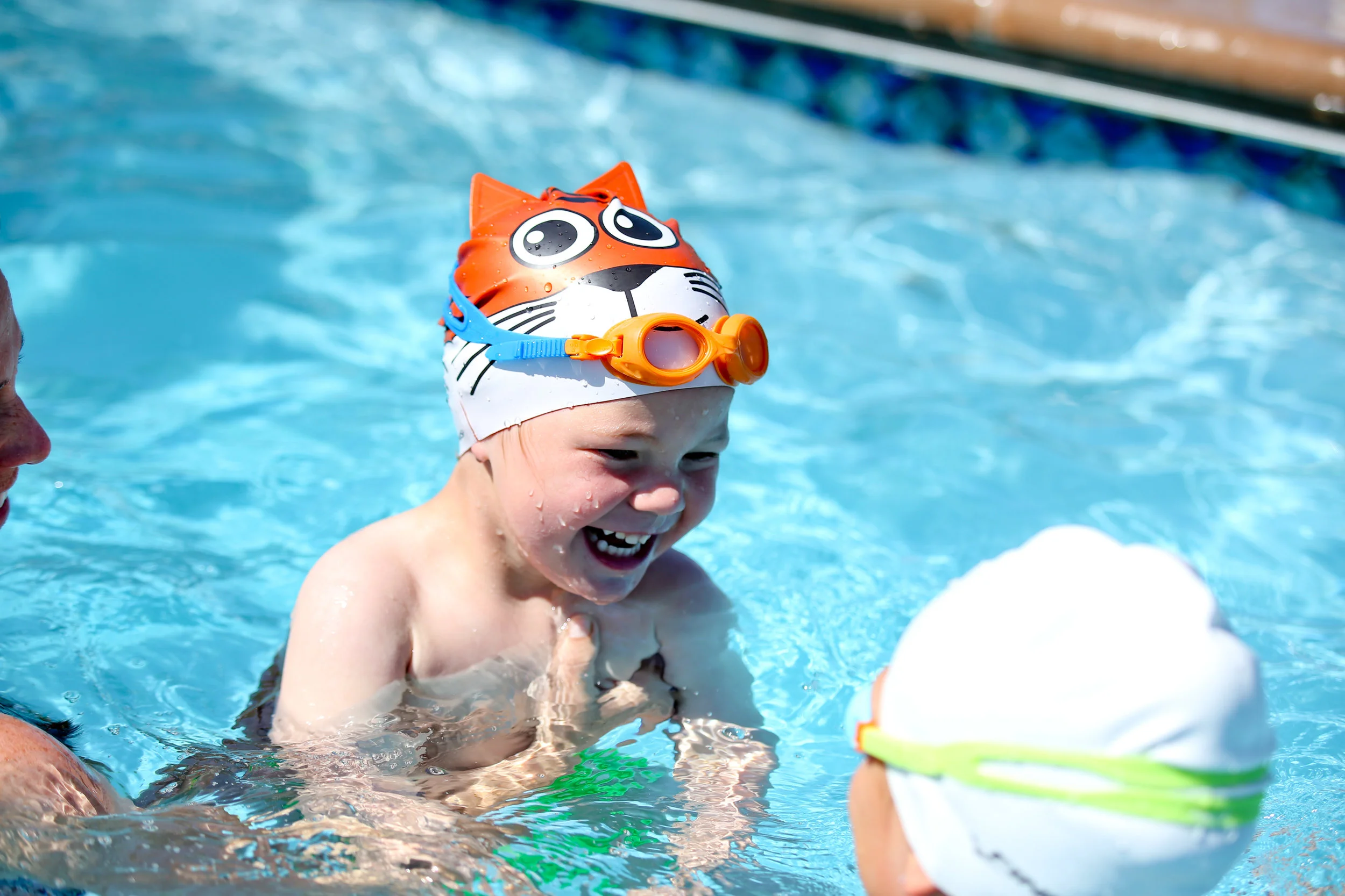 3.45.018 Image Usage Orange.Clear 3.jpg