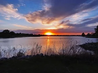 Art Night at Wilshire Business Suites