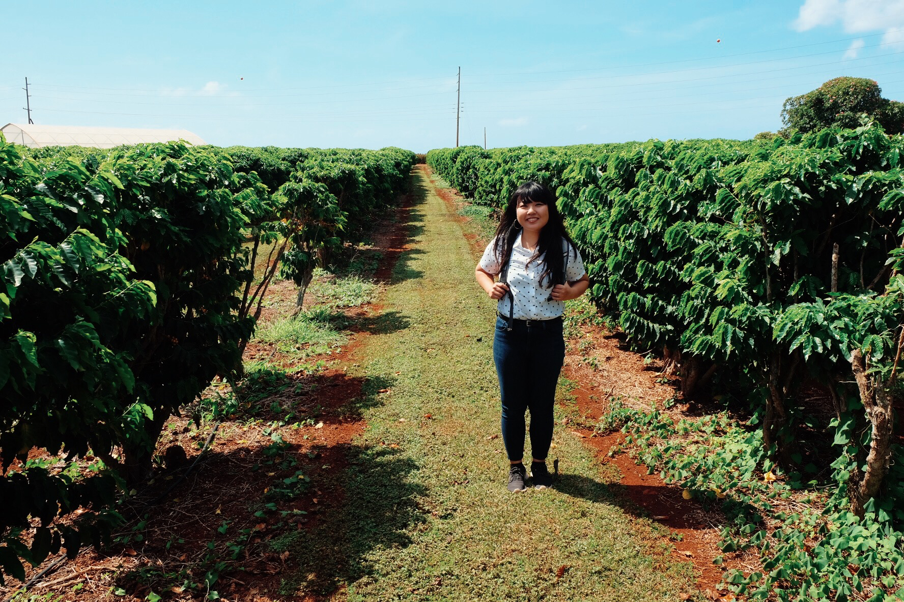 Kauai Coffee Company