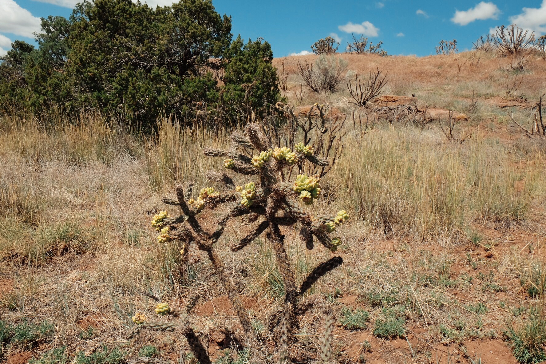 Pecos National Historical Park