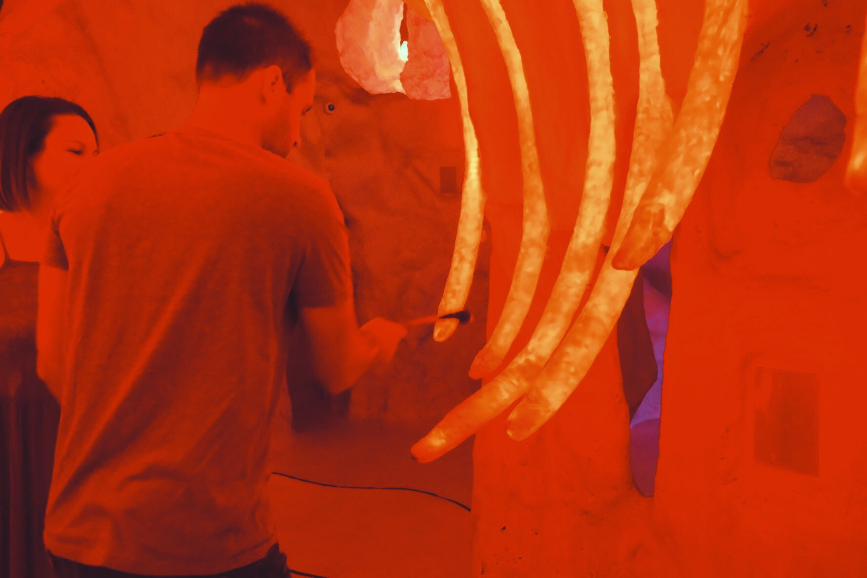 Meow Wolf