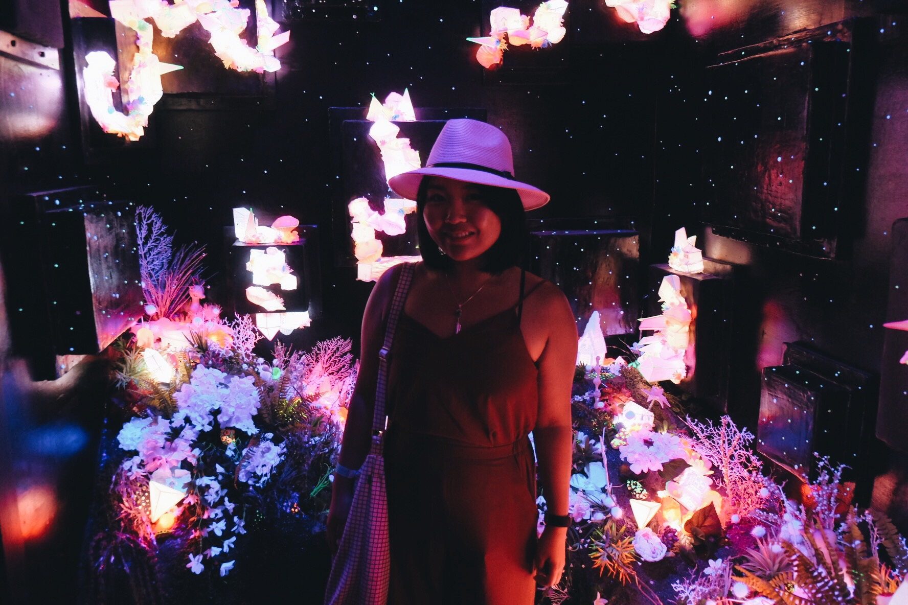 Meow Wolf