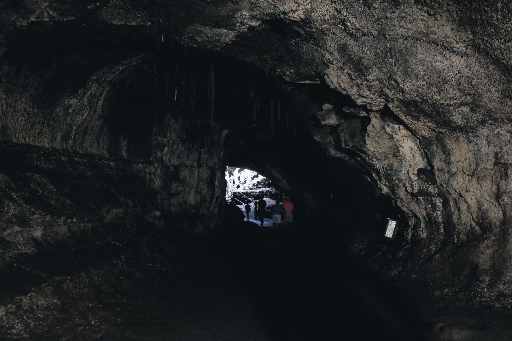 Thurston Lava Tube / Hawai'i Volcanoes National Park