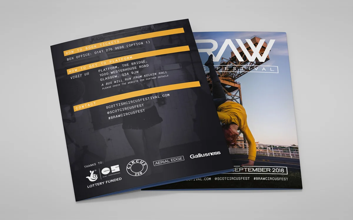ED_BRAW_PosterFlyer3.jpg