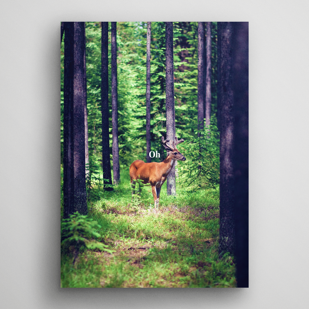 Oh-Deer-PO.png