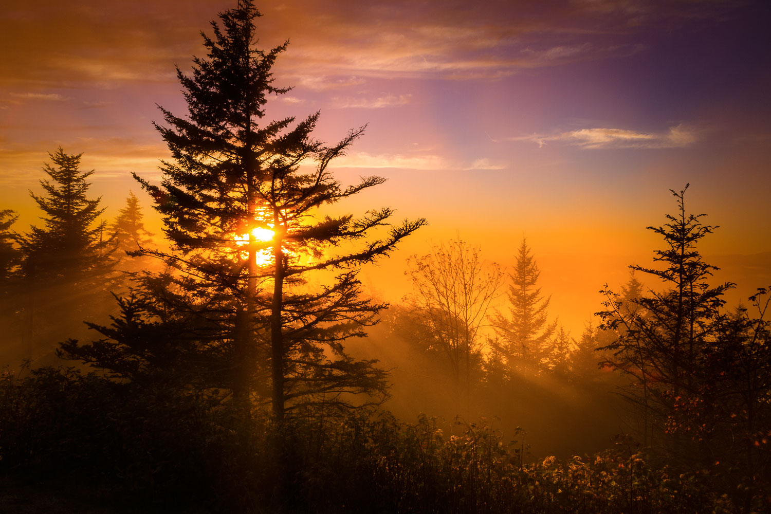 Blue Ridge Parkway