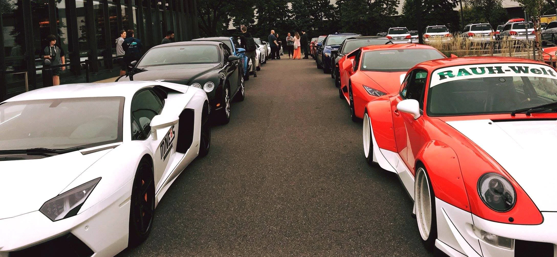 The Minnesota Car Enthusiast Club