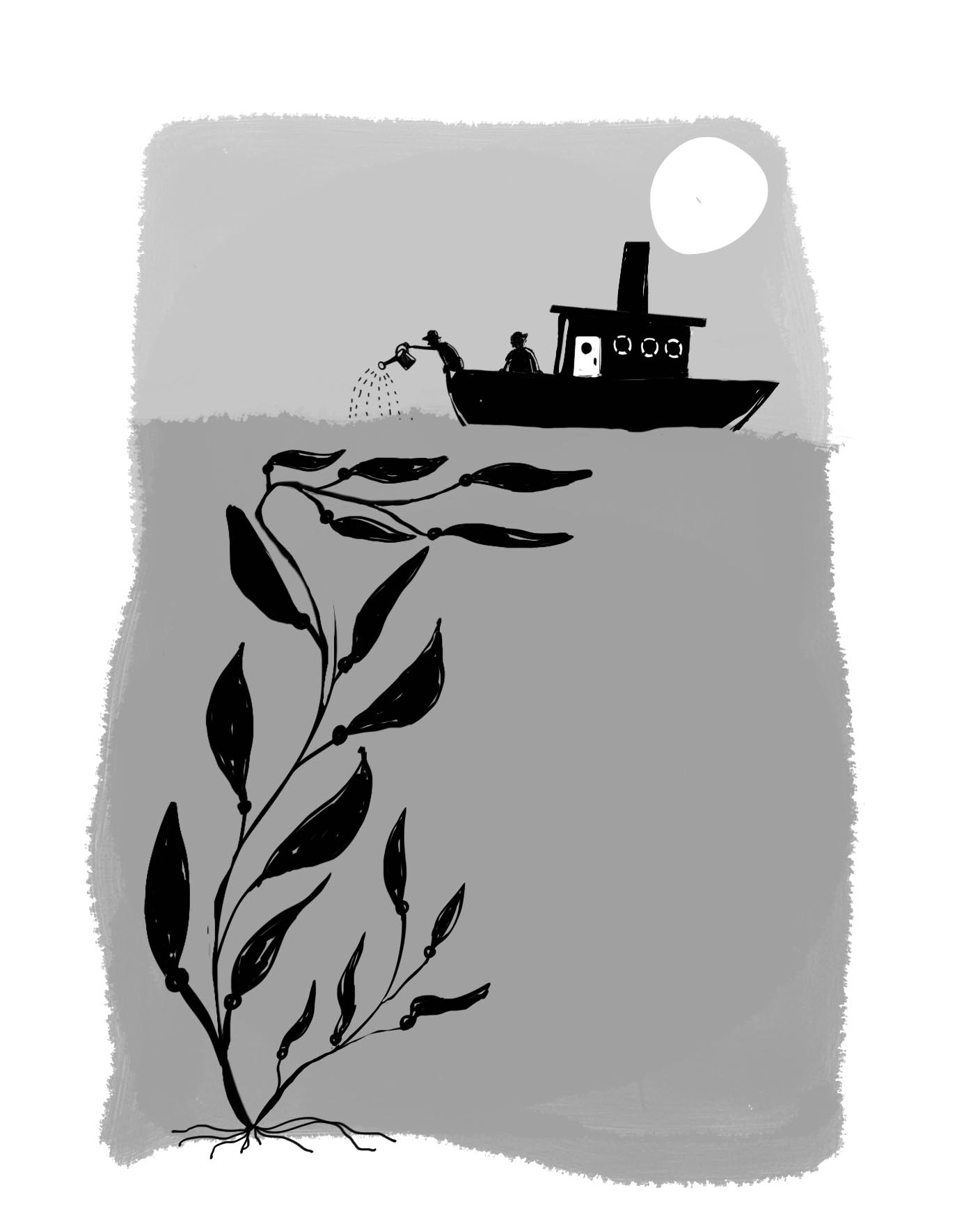 Kelp Farming for Luke's Lobster