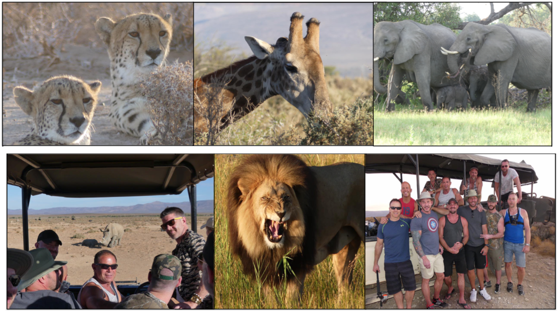DAY 7 & 8: OVERNIGHT SAFARI