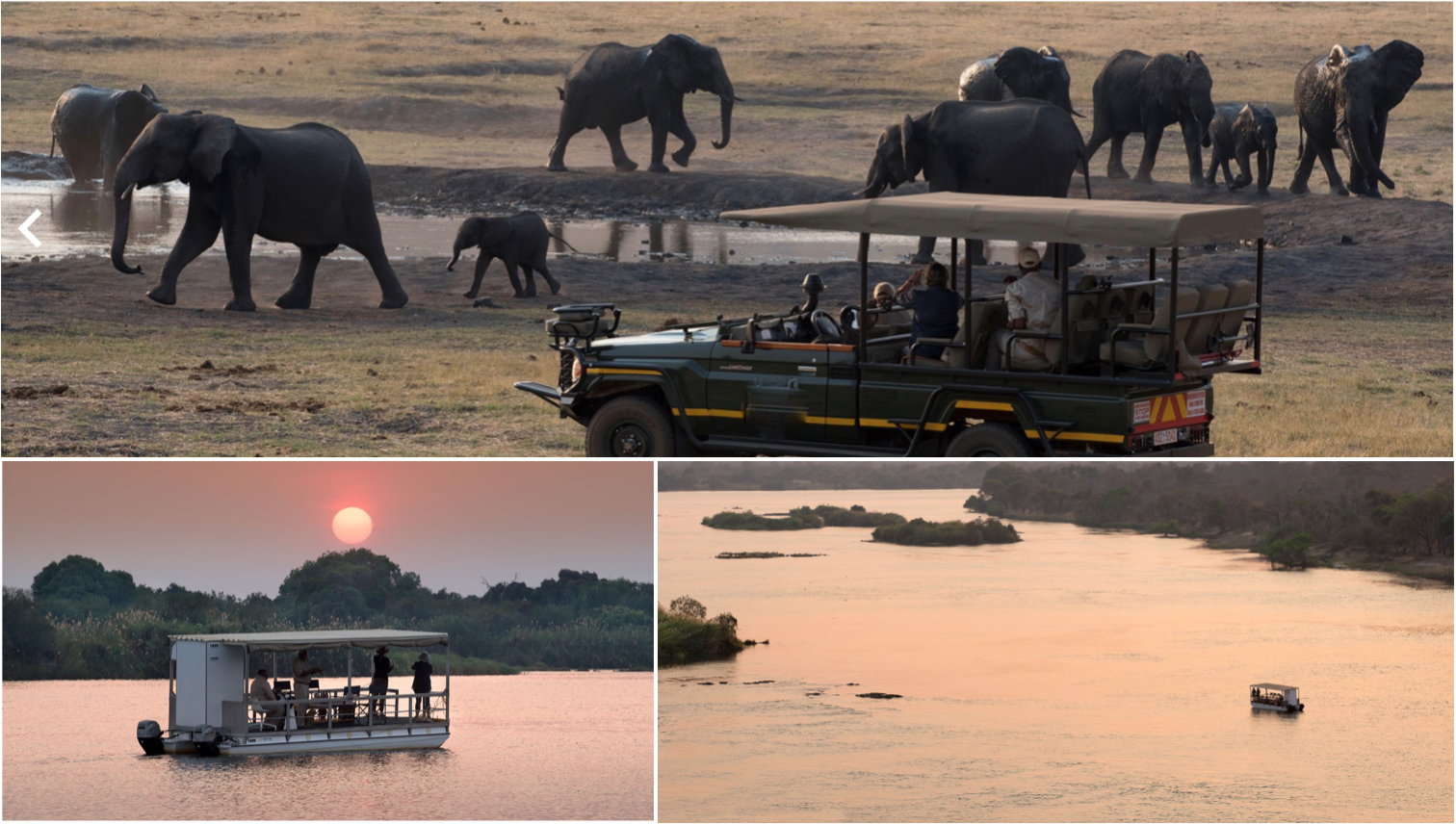 Day 8: Enjoy a variety of safari activities. You will be spoiled for choice at the wonderful selection of land and water-based safaris. - Discover the wonders of the Zambezi River on sundowner boat cruises or canoeing adventures. - Twice a day, you will enjoy the opportunity to set off in search of wildlife in an open-air safari vehicle, accompanied by a ranger and tracker. Traverse the magnificent, varied landscapes and marvel at vast herds of elephant and buffalo, as well as the elegant and majestic sable antelope and a variety of big cat predators. Early morning game drives begin as the sun peeps over the horizon and the dark of the night fades slowly into grey. Inhale the fragrance of the morning dew as you set off into the cool dawn, alert for signs as the inhabitants of the bush begin to stir. Watch as a herd of buffalo begins to stir, hundreds of animals heading to the nearest waterhole amidst a chorus of grunts, and hooves scuffing the dust. As the sun rises higher in the sky, the sheen of a glossy mahogany hide betrays the presence of the rare sable antelope, with its elegant, sweeping horns. Sunset/night game drives: Starting in the late afternoon, the second game drive of the day may head down to the banks of the Zambezi, catching a herd of elephant as they head down to the waters to bathe the dust of the day off their flanks. Thrill to the excitement of the chase as you follow hot on the trail of a pack of wild dogs in pursuit of their prey or sit quietly and watch a lion pride stir and stretch as they prepare for the night’s hunt. Stop for sundowners as the last rays of the sun colour the sky in shades of orange and purple. Keep an ear open for the distant yipping of hyenas, trying to gauge direction and distance as you prepare to follow by the glow of the tracker’s spotlight.