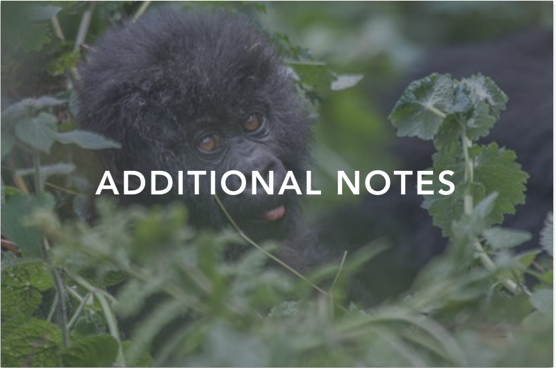 WHAT'S INCLUDED: • Luxury Lodge accommodations. • All meals, house wines, beer and spirits included. • Activity transfers to/from accommodations • Group leader from beginning to end of tour • Guided Gorilla Expedition Bush walks • National Park Permit fees • Wildlife Conservation Permits ( Rwanda Gorilla Permit, Golden Monkey Permit) NOT INCLUDED: • International and local Airfare • Gratuities for Tour Leaders ($50-$100 USD per person) • Travel Insurance