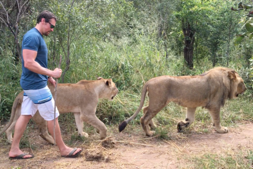 GET INVOLVED... JOIN A LION PROJECT EXPEDITION