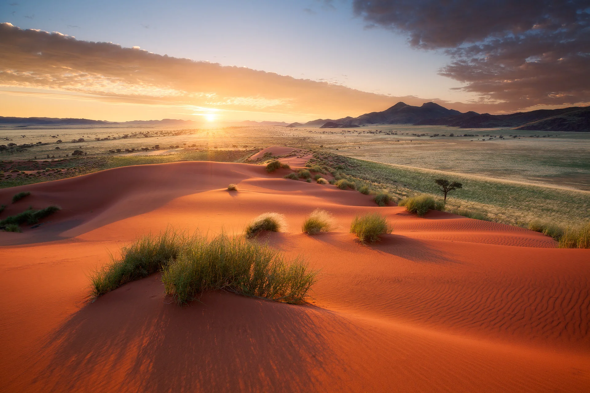 Namib-Rand-7-3.jpg