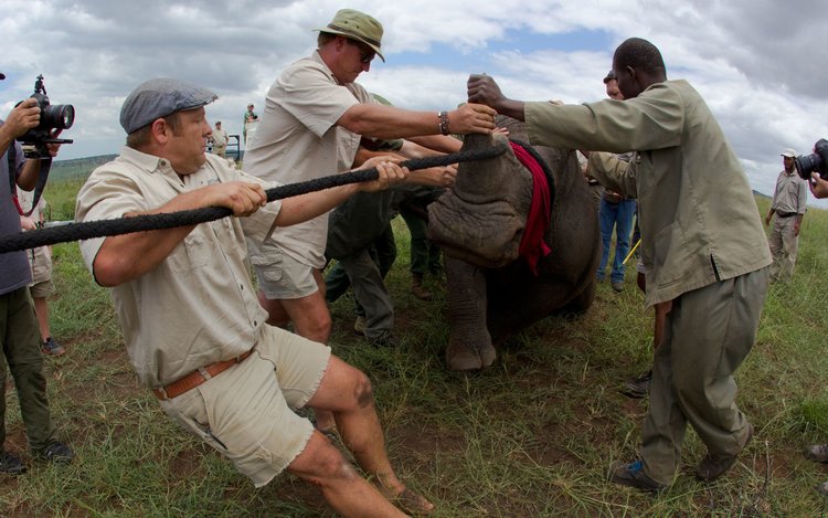 care-of-the-wildlife-rhinos-without-borders4-2.jpg