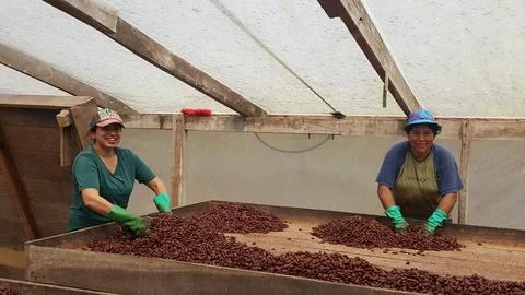 Pashmina (on the left) in Costa Rica