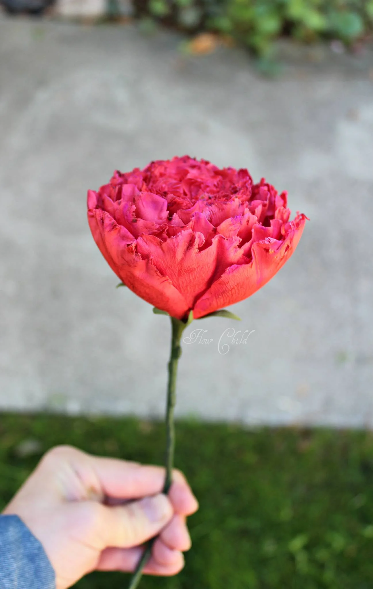 Gumpaste Red Garden Rose.jpg
