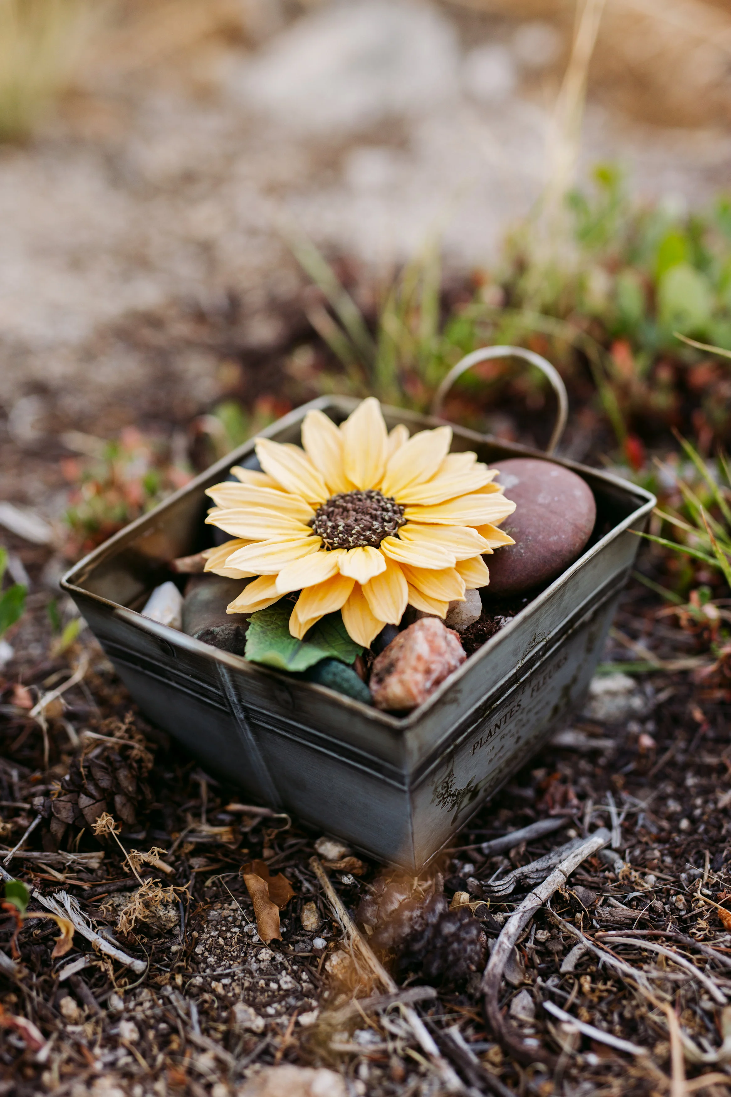 Gumpaste Sunflower.jpg