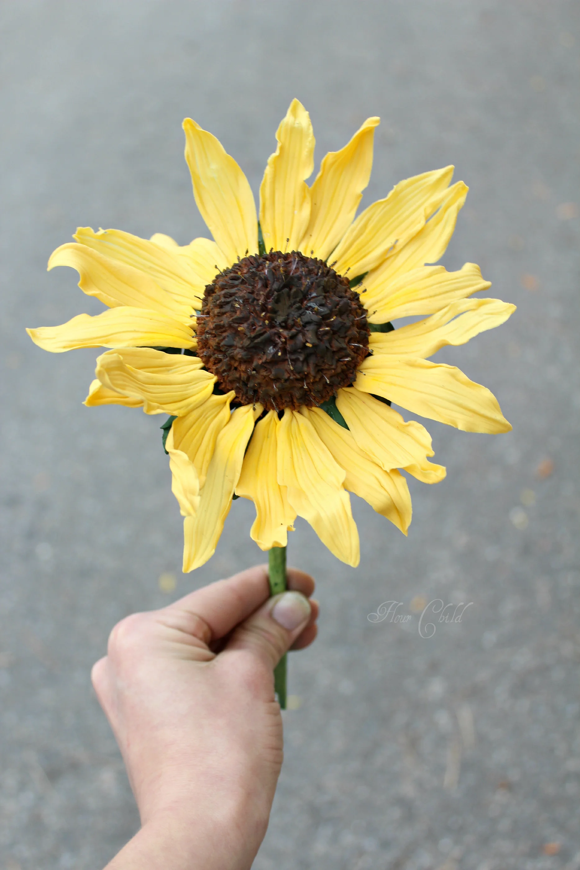 Sugar sunflower .jpg