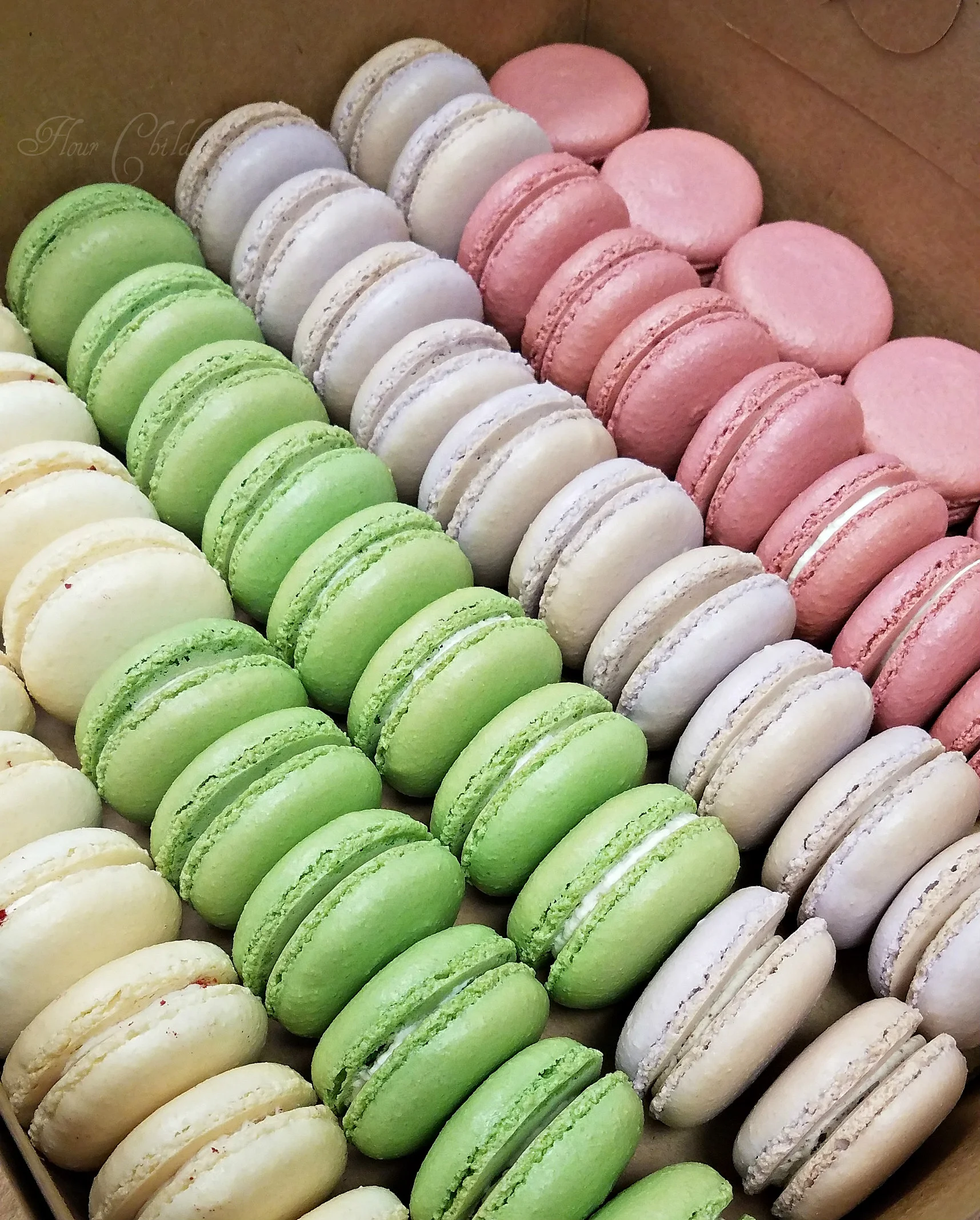 boise macarons idaho .jpg