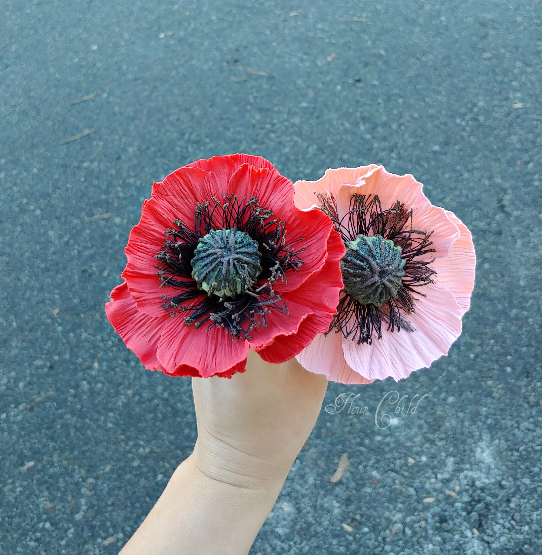 Sugar poppies boise idaho flour child .jpg
