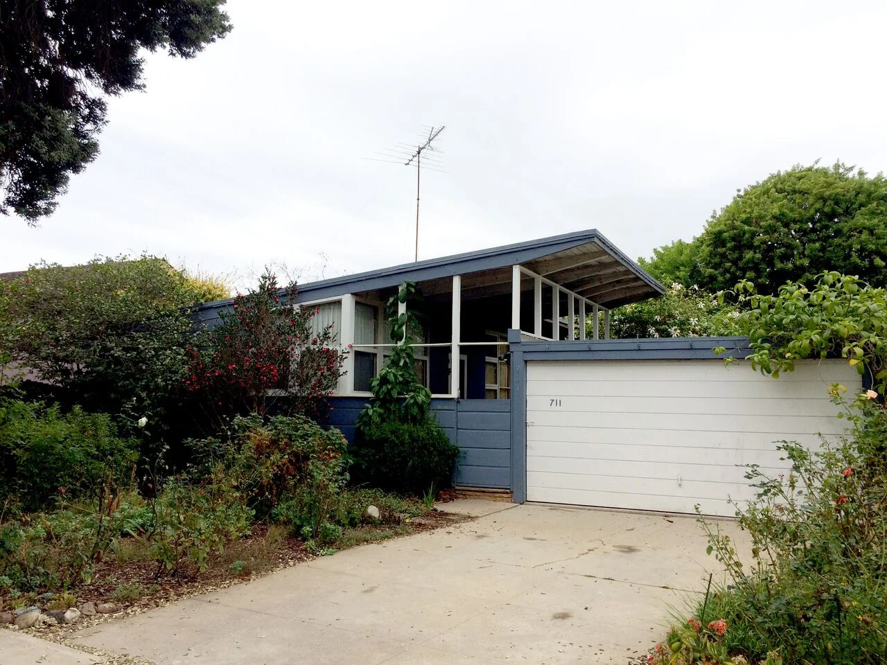 711 MUSKINGHAM AVE, Pacific Palisades
