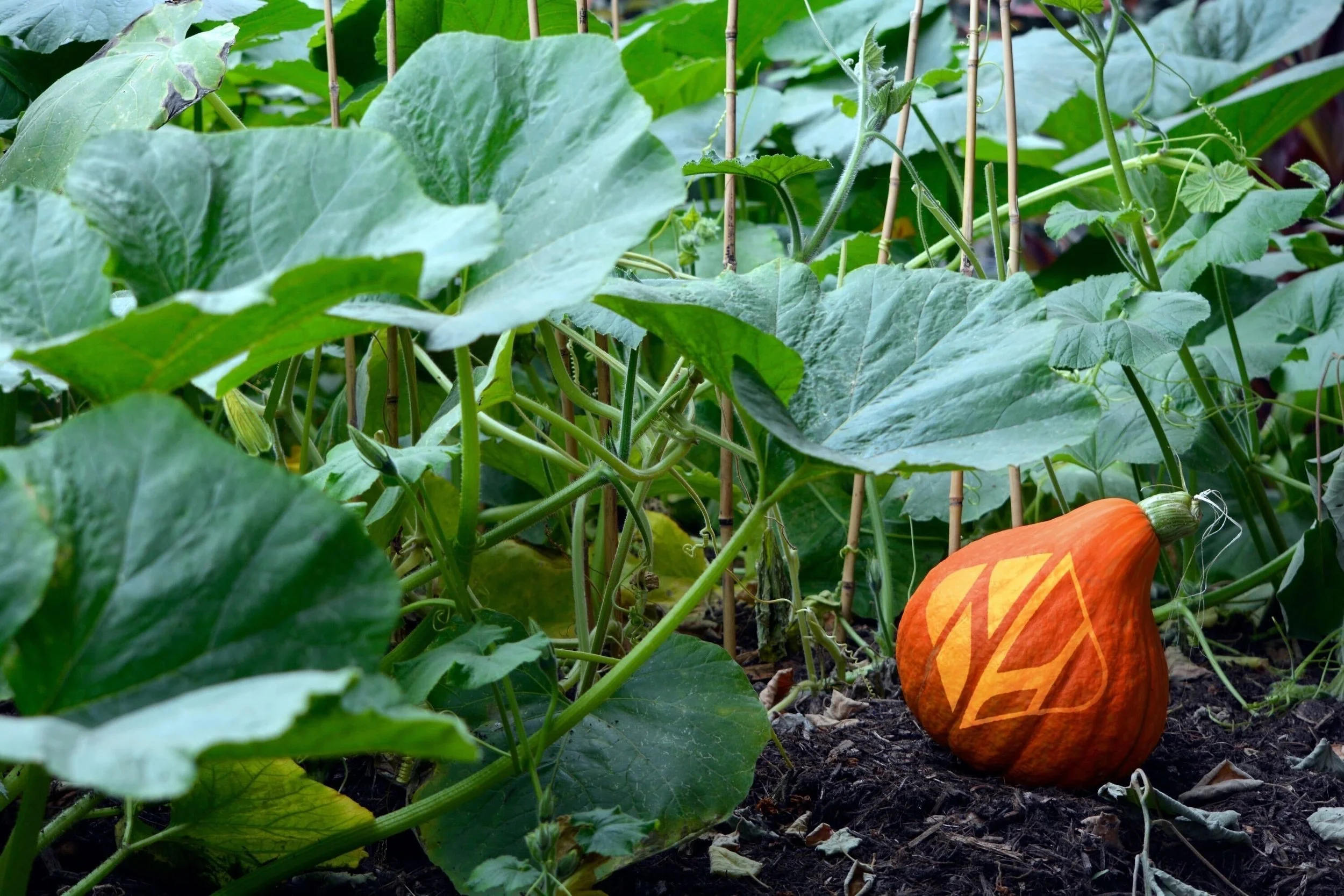 Community Garden Registration