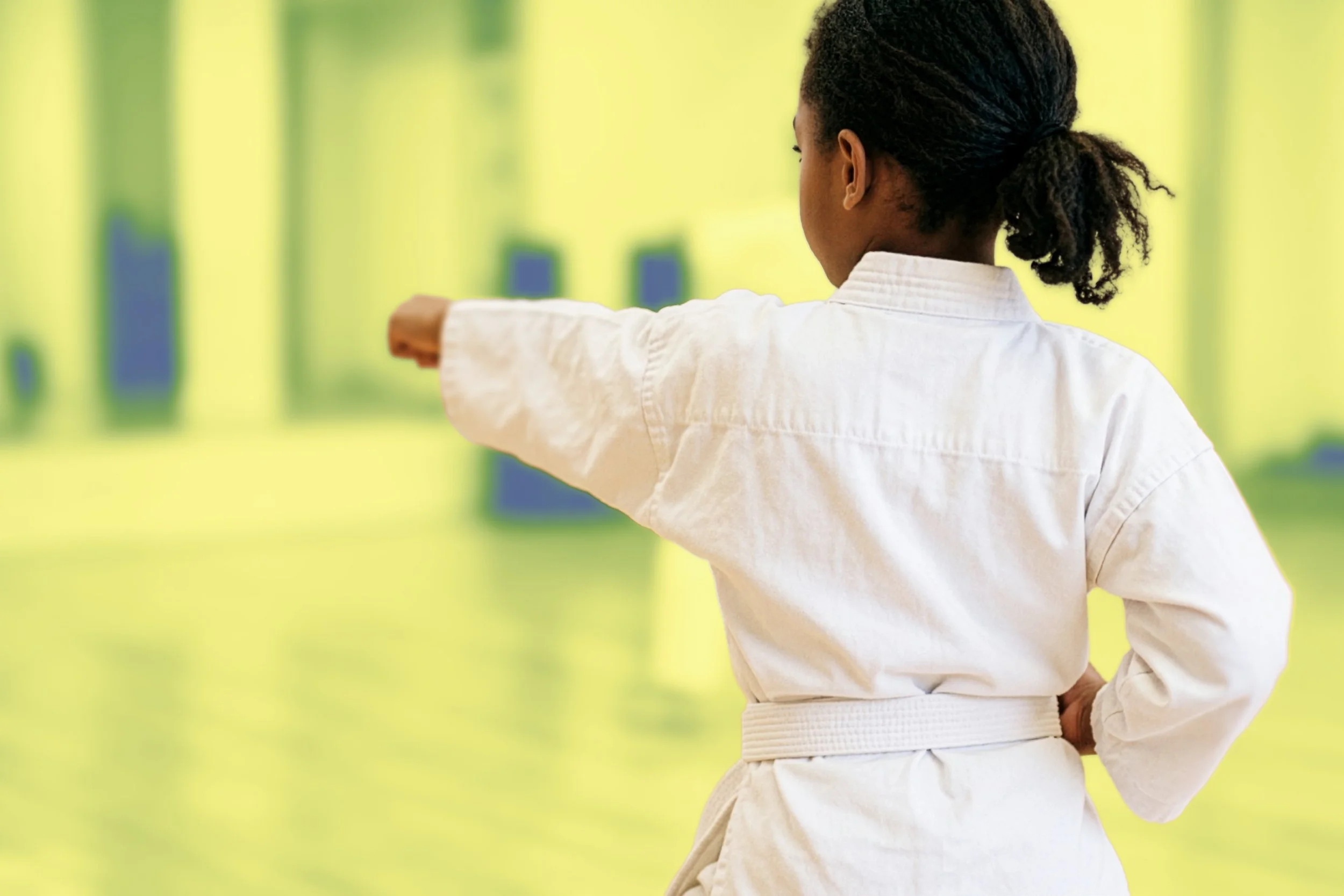 Ario Karate Class