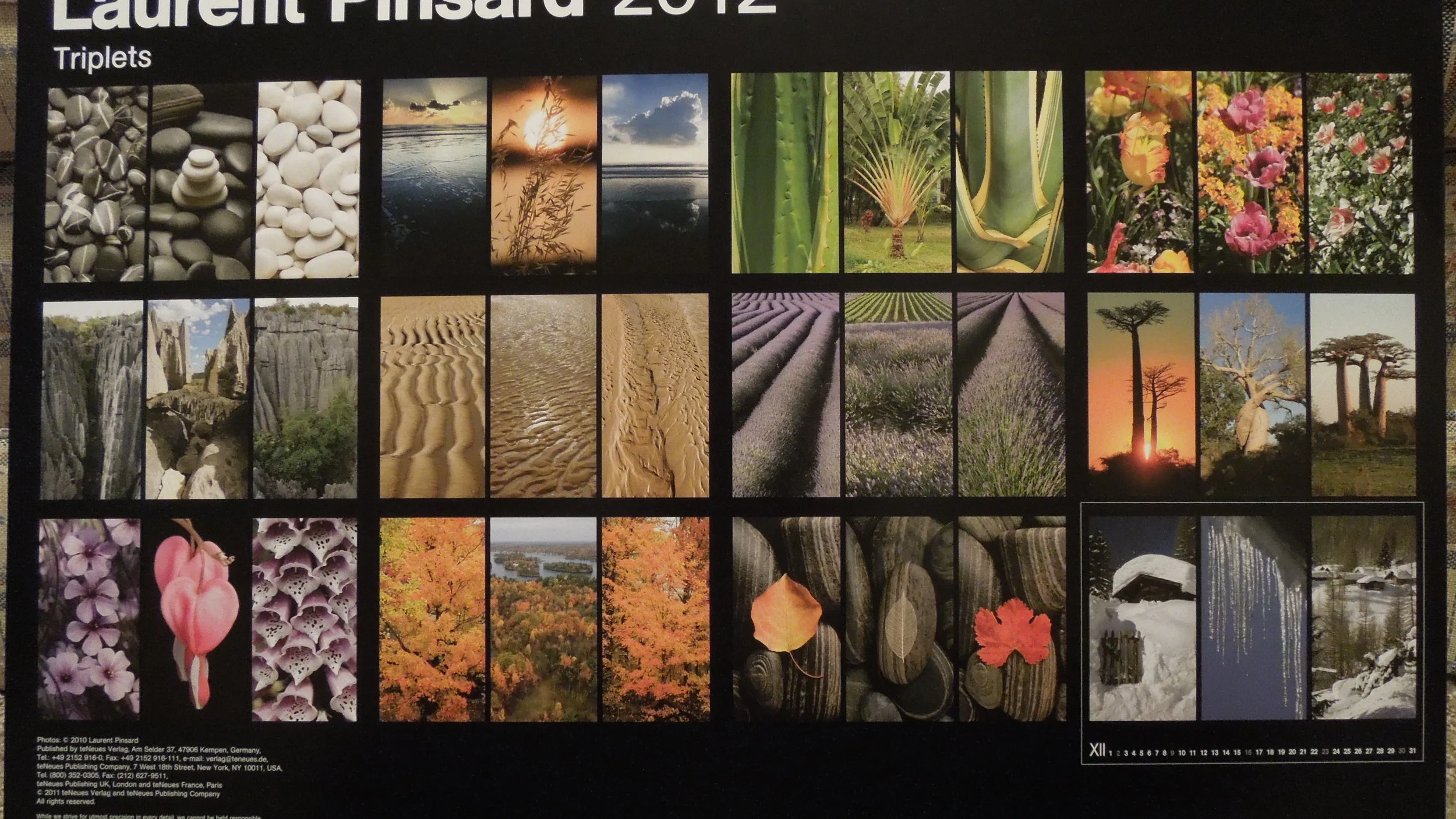  Laurent Pinsard Triplets 2012 Poster Calendar 