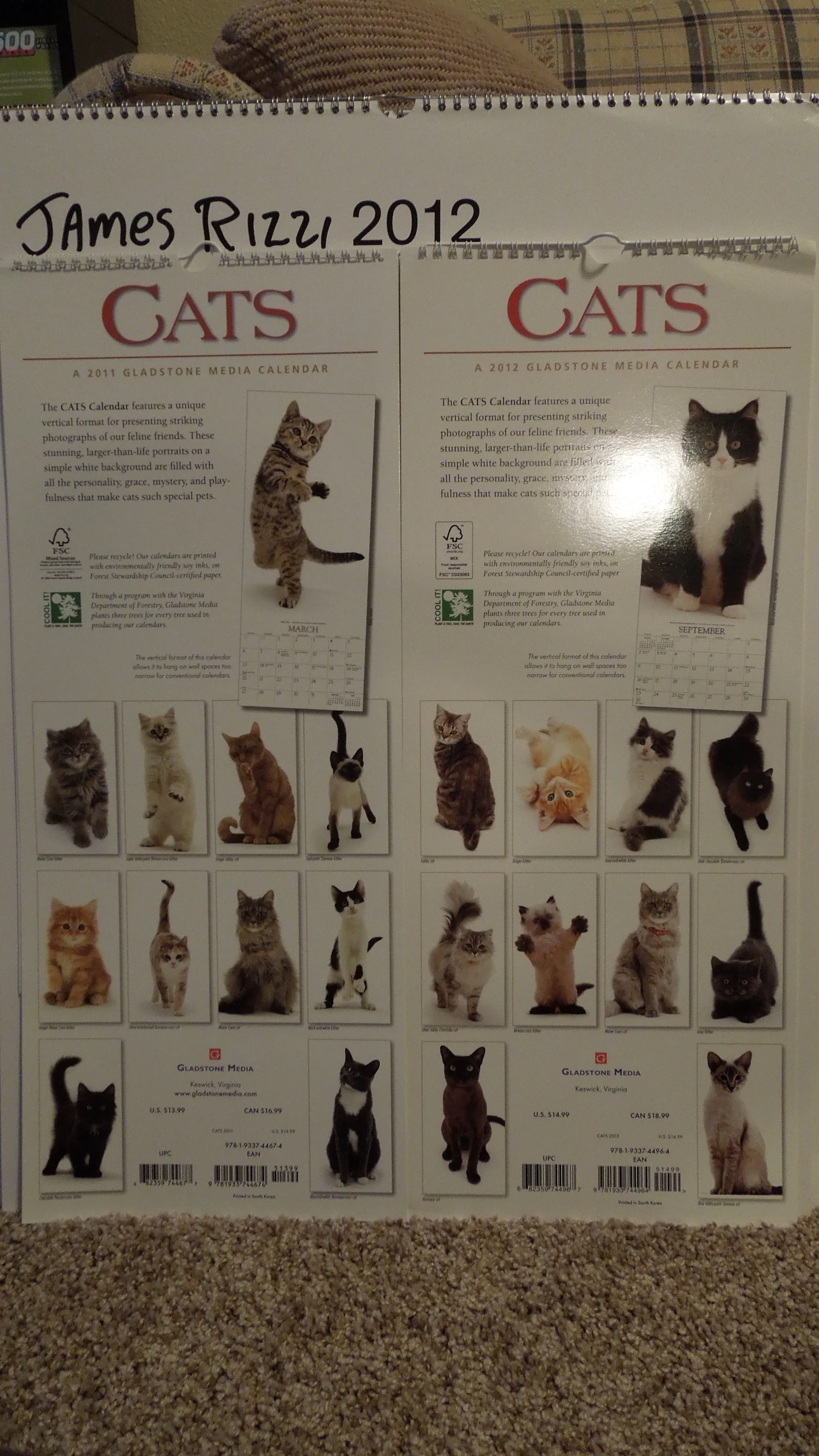  Cats 2011 &amp; 2012 Poster Calendars 