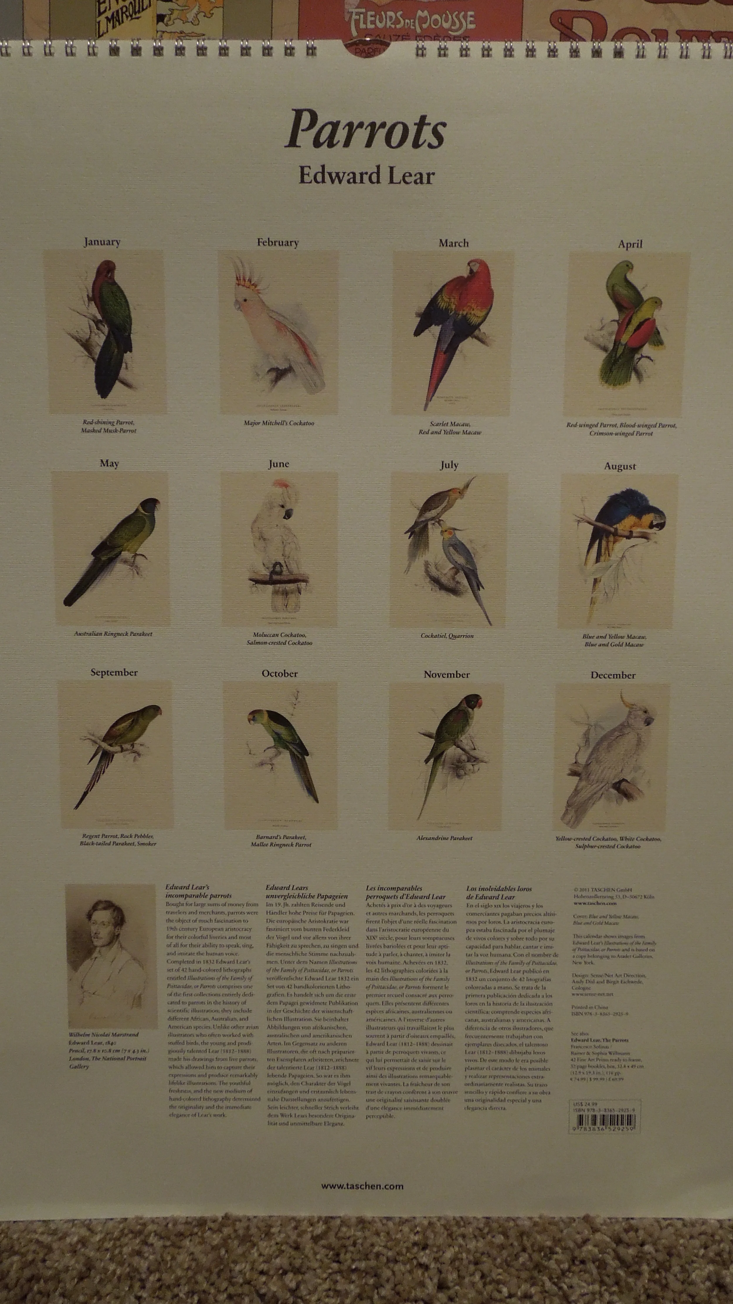  Edward Lear Parrots Poster Calendar 