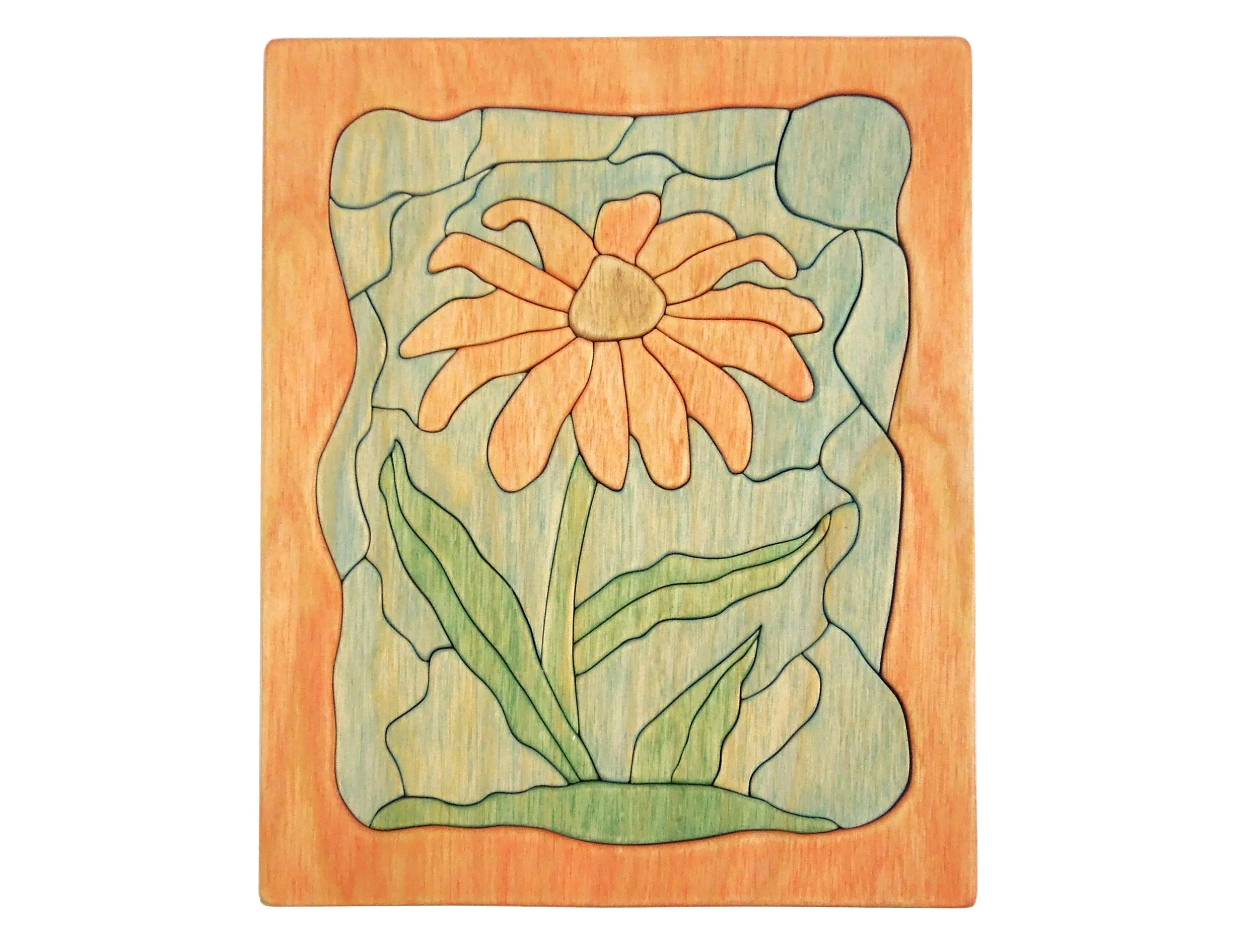 Red Black-Eyed Susan - 1 - 2014-11 edit.JPG