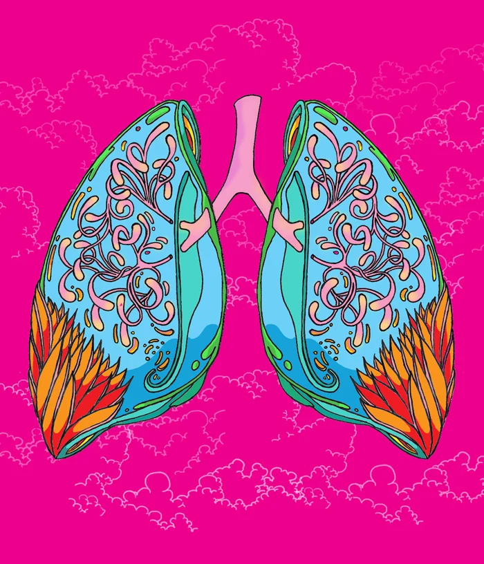 Lung illustration for healthcare client