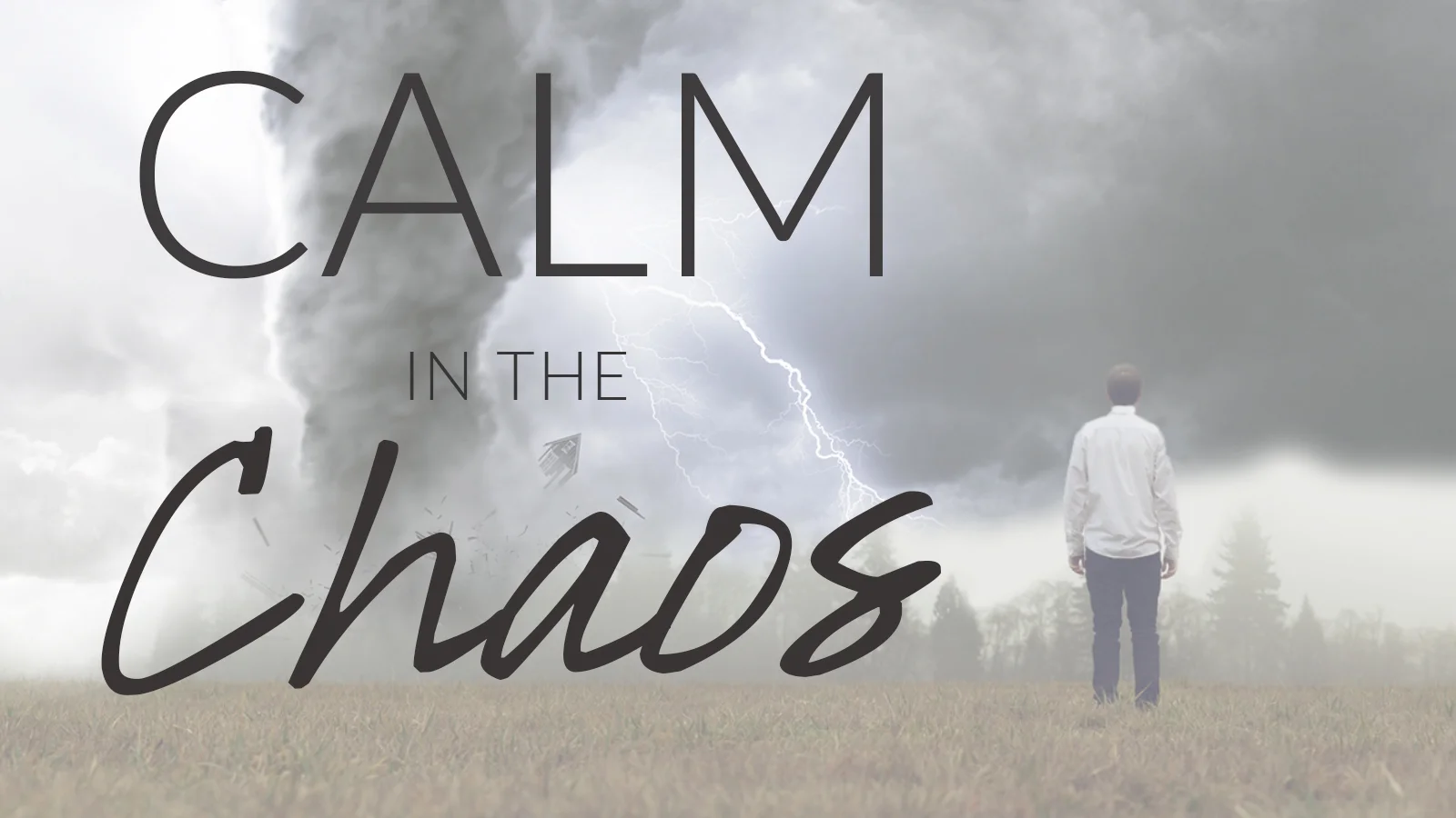 Calm in the chaos
