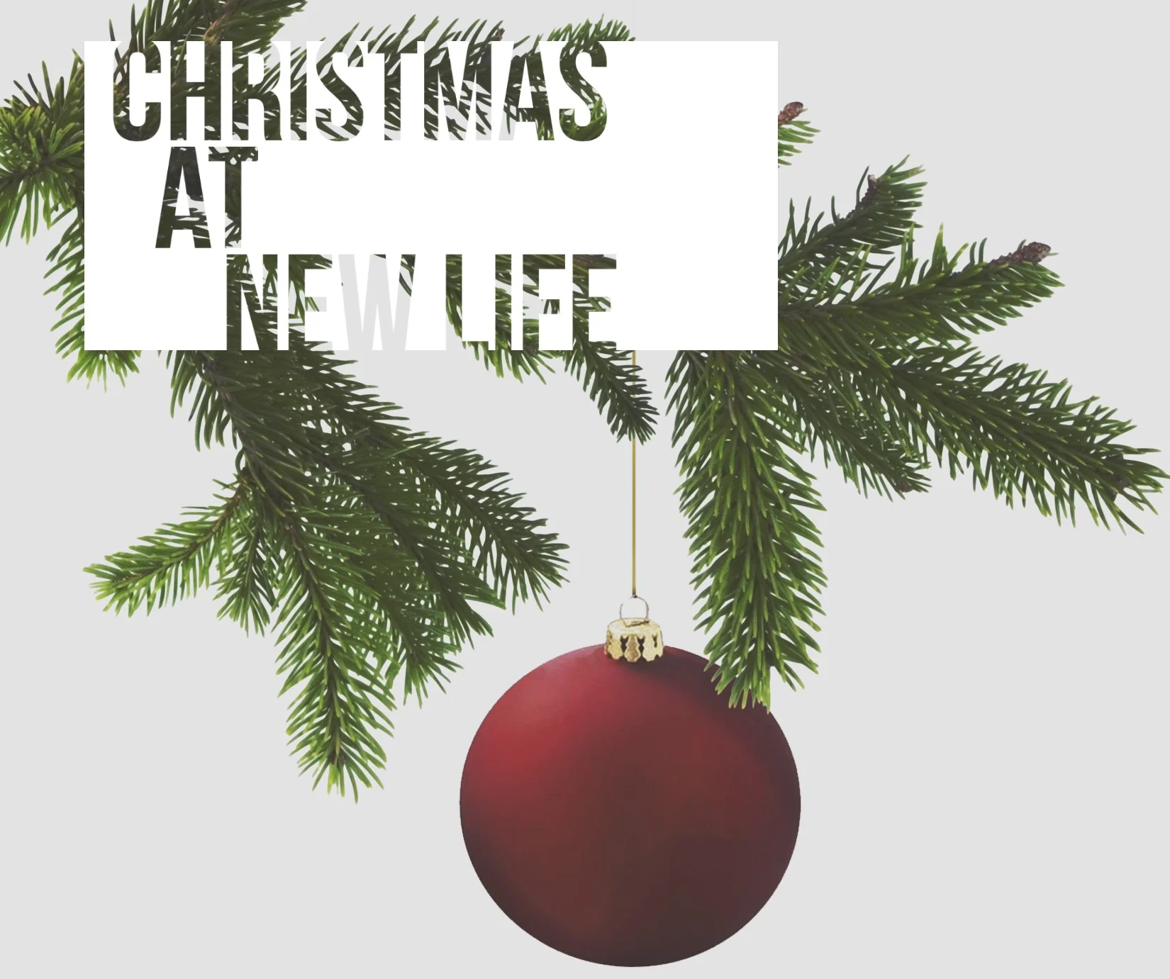A New Life Christmas: Let There Be Light