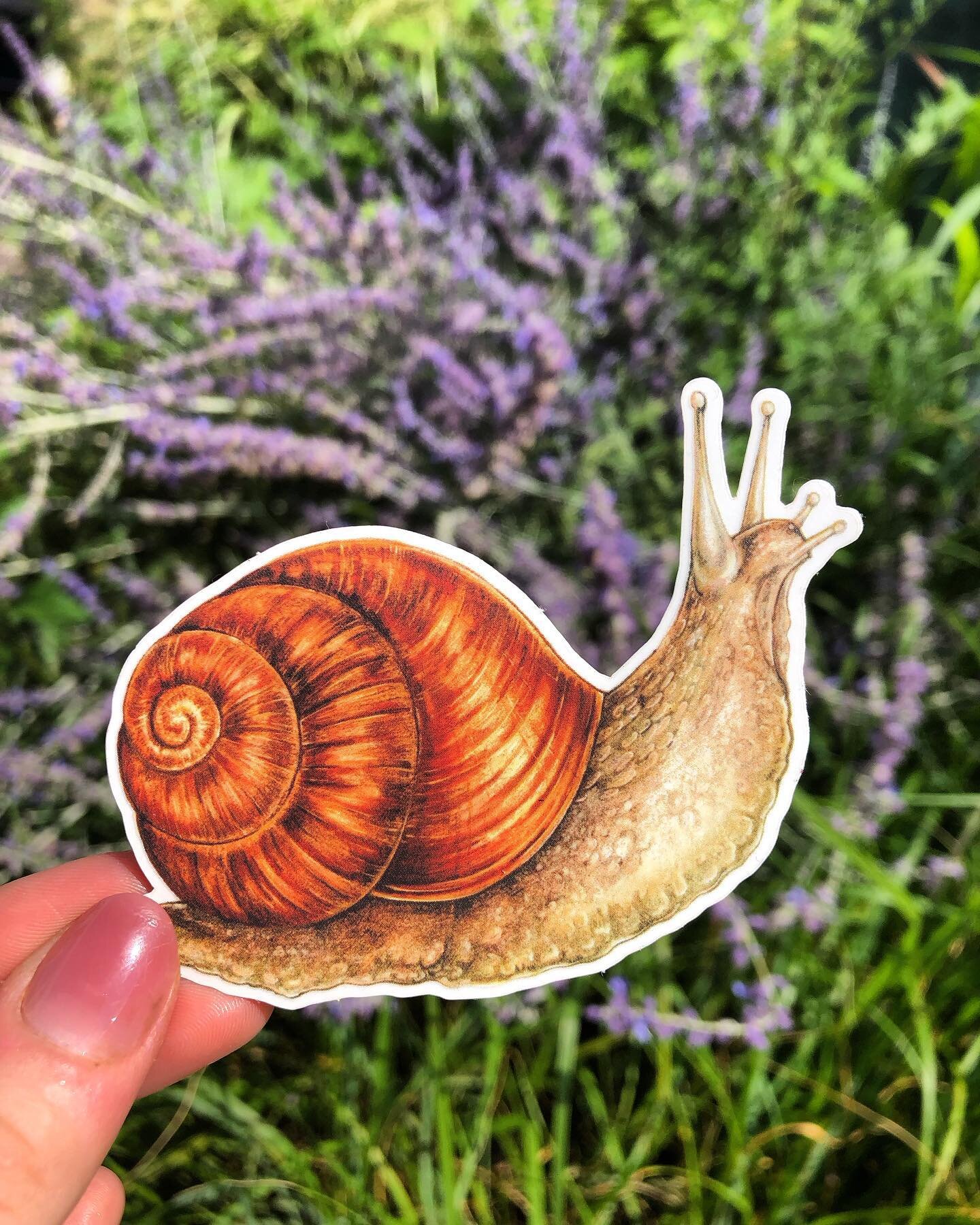 Slow and Steady 🐌