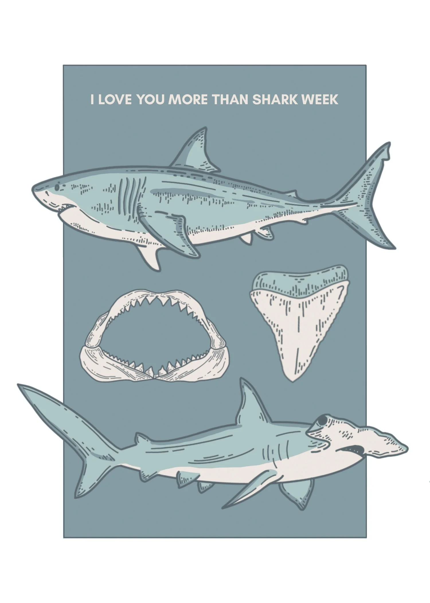 Shark Week .jpg