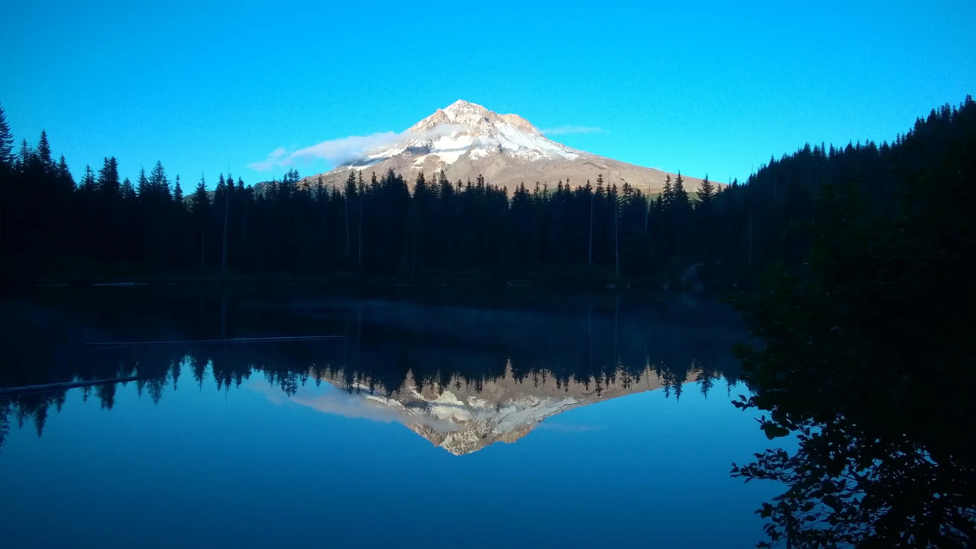 WP_20150919_18_53_36_Pro.jpg