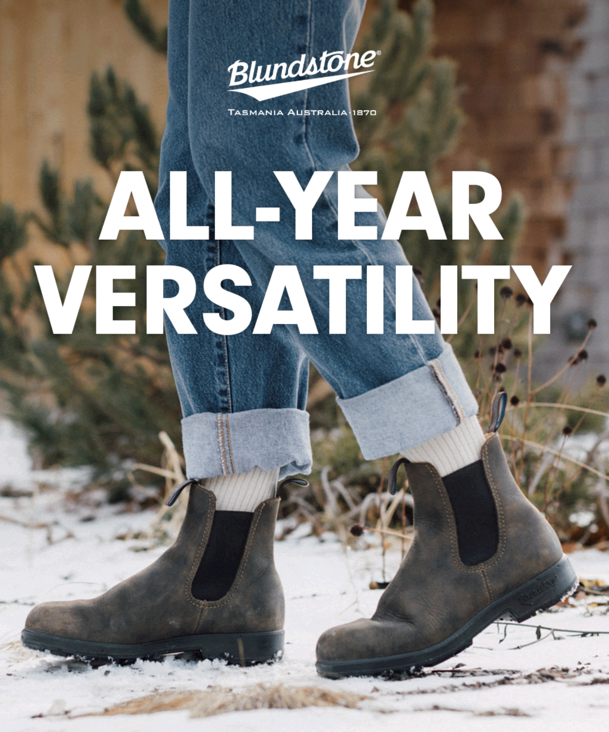 Screenshot 2026-02-20 at 10.45.42 AM.png