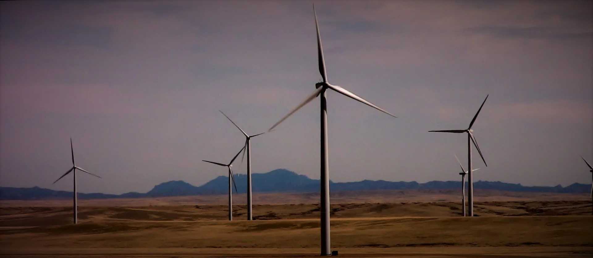 windmills.jpg