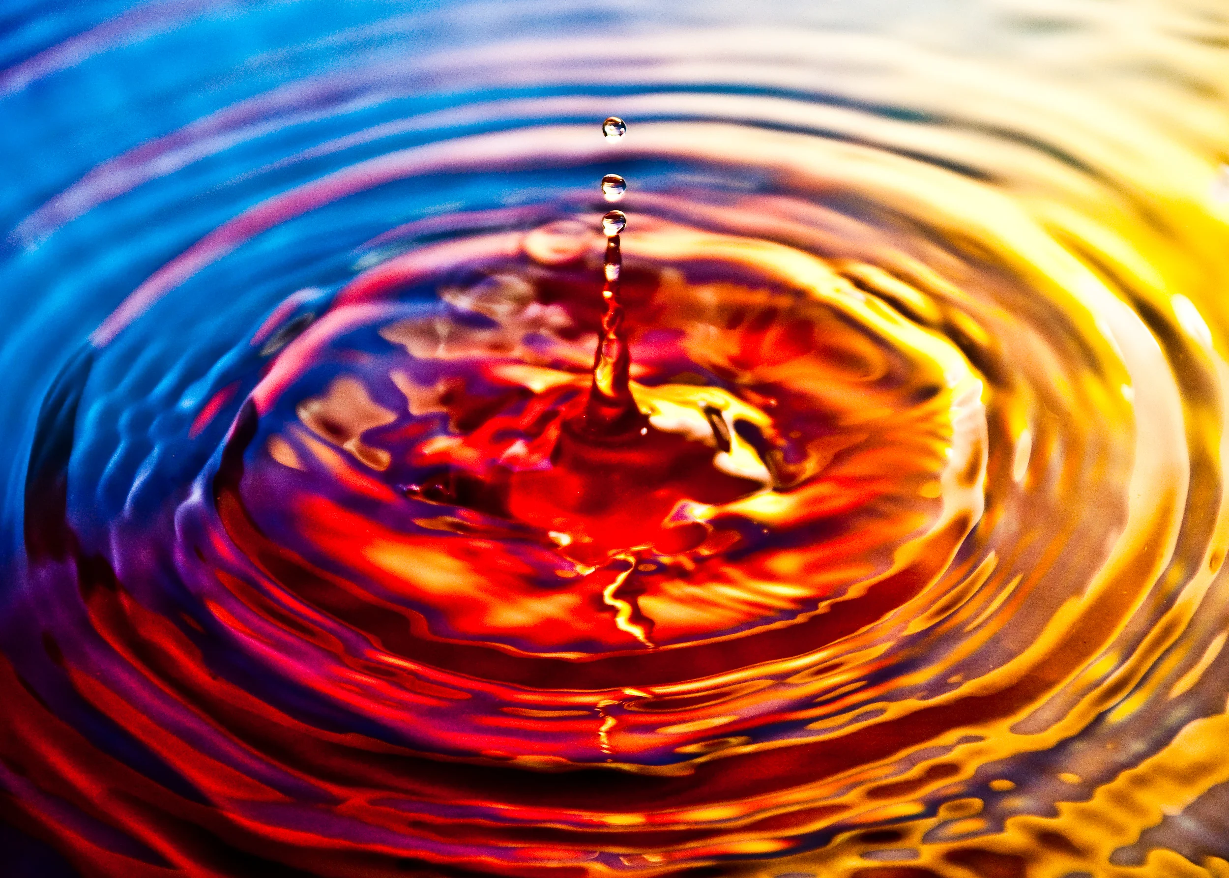Ripple_effect_on_water.jpg