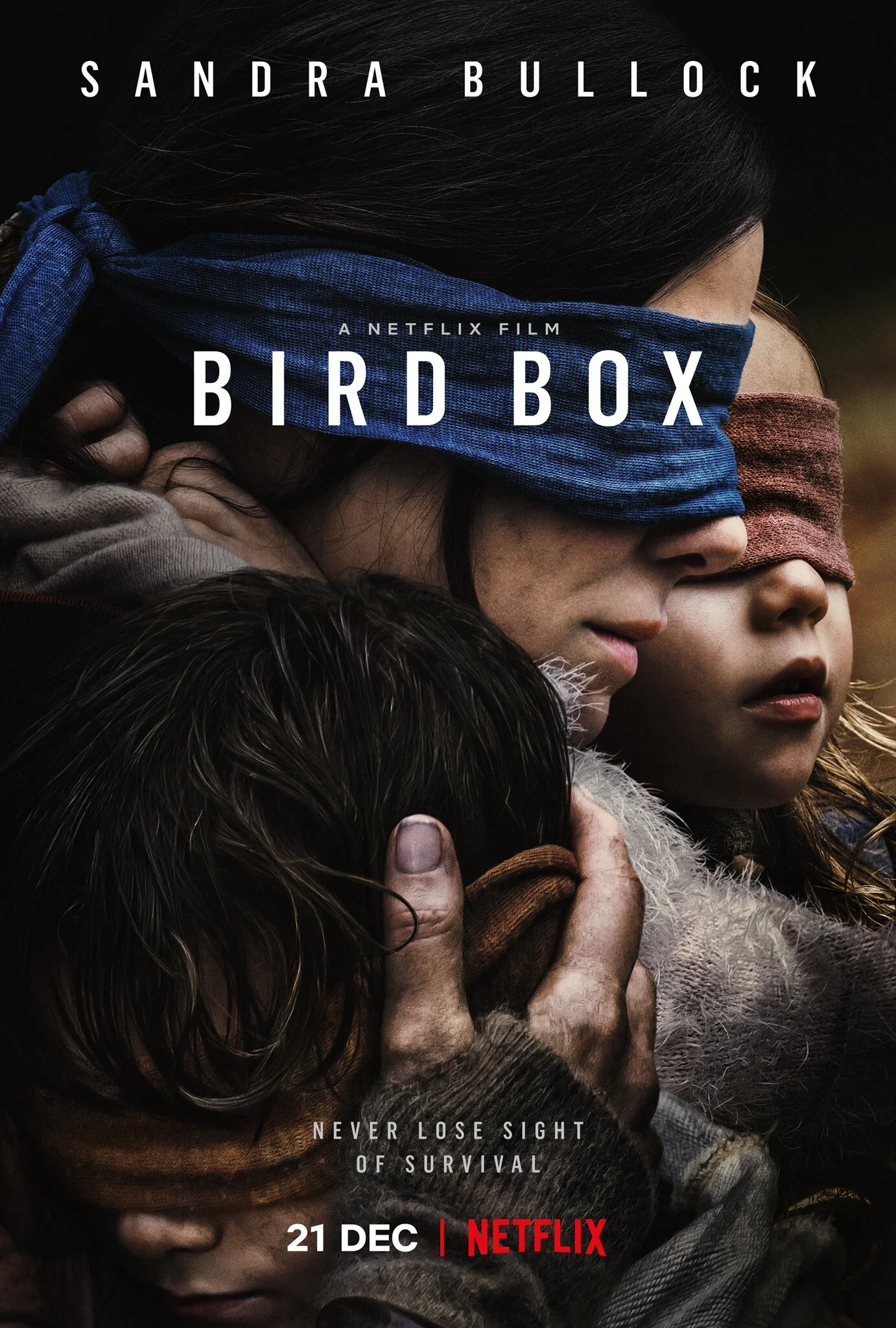 Birdboxposter.jpg