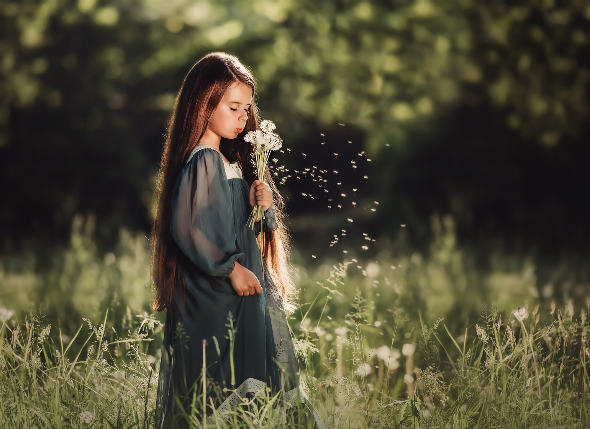 Bella Vita Creative | Skagit Valley Child Photographer