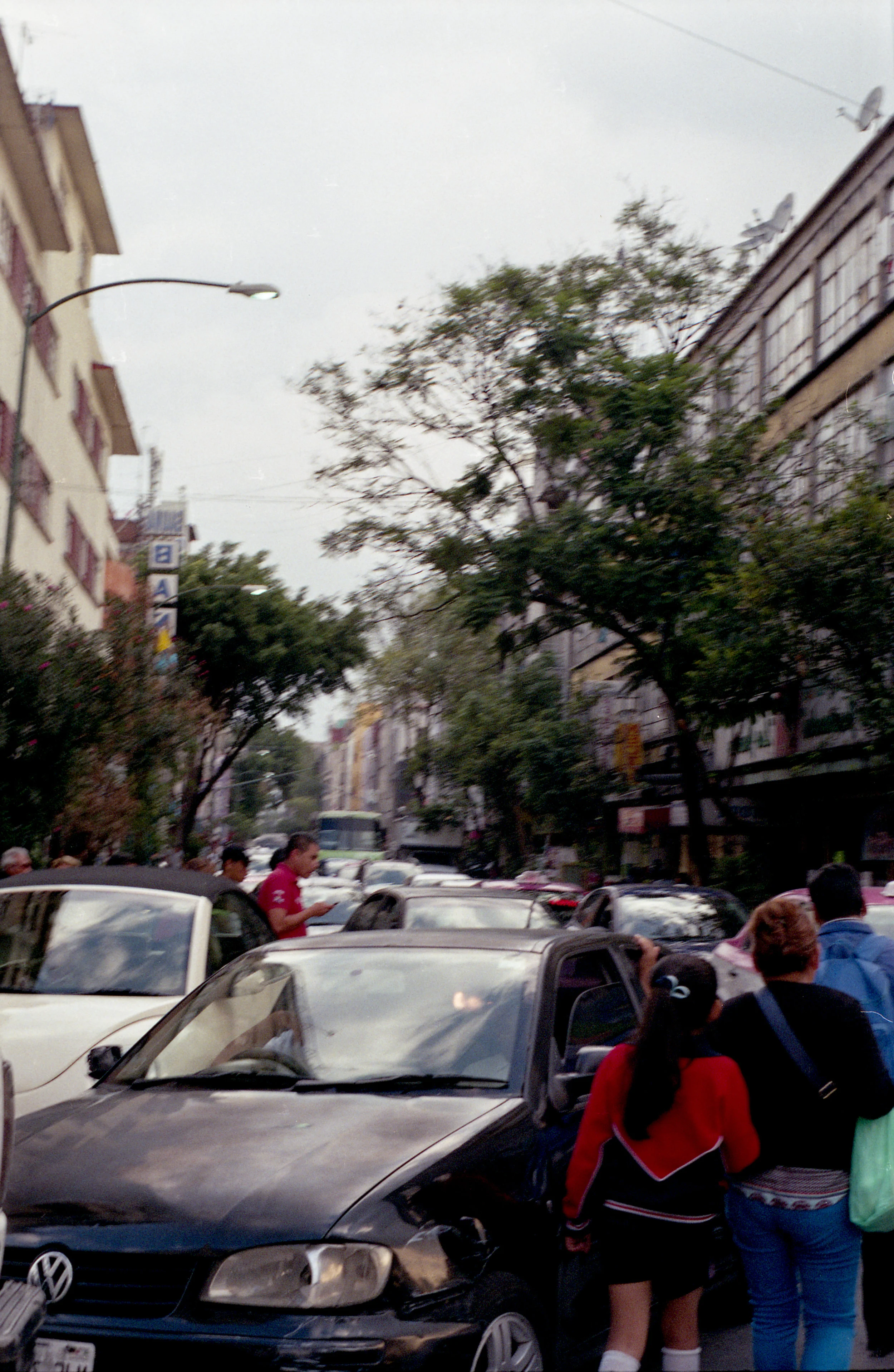 img05414.jpg