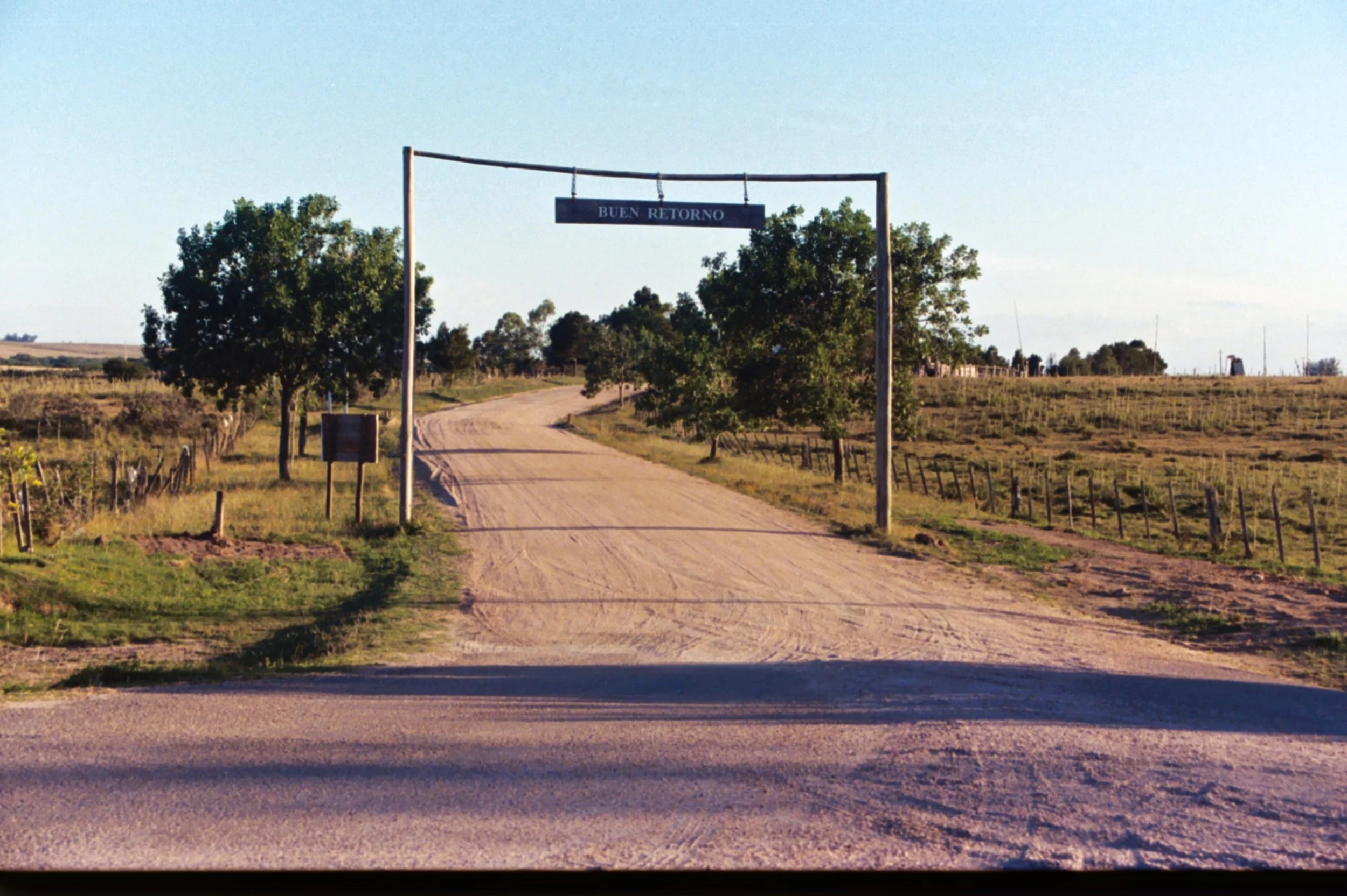 mcgrath_mAA013A.jpg