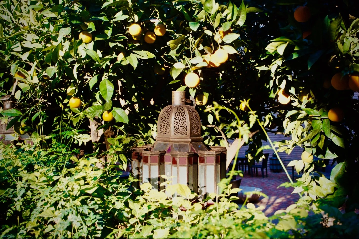 mcgrath_mAA032.jpg