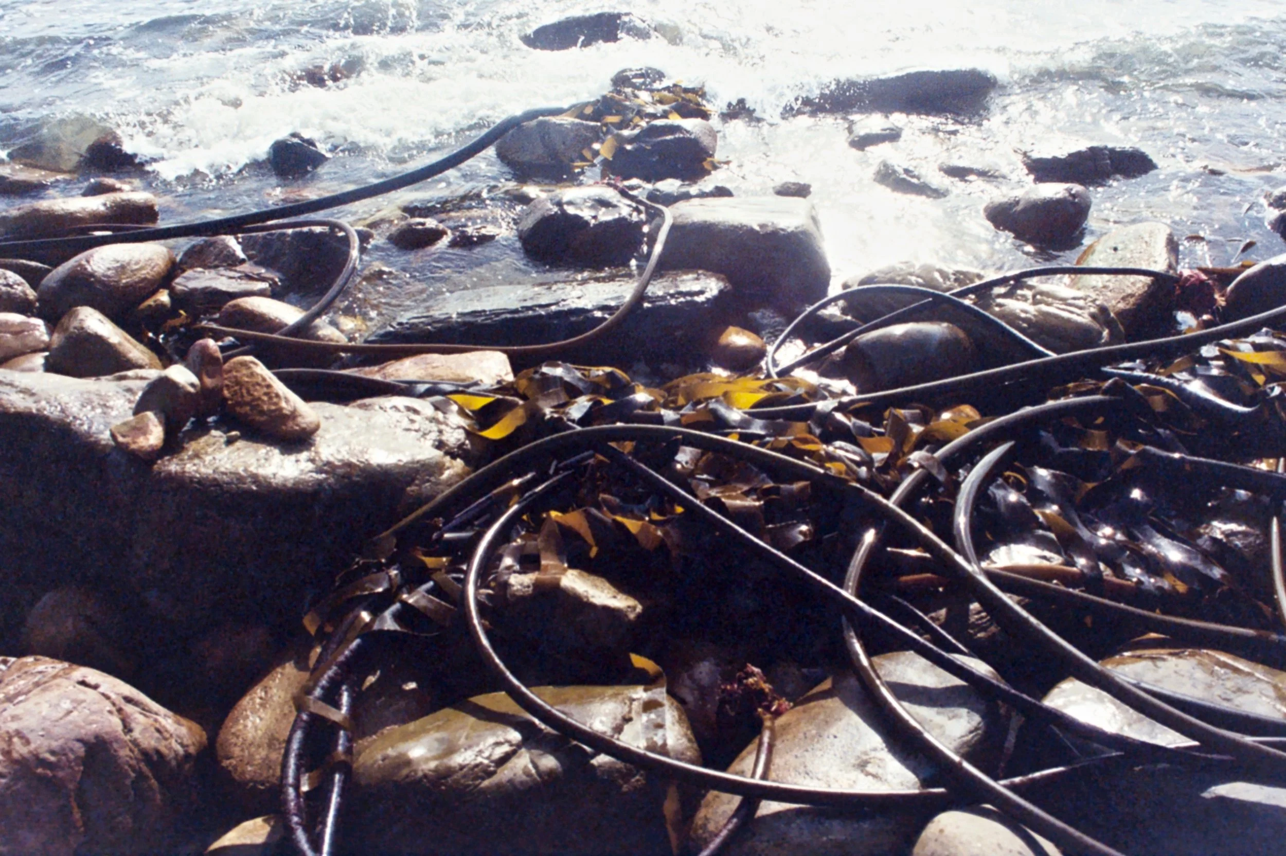 mcgrath_mAA009.jpg